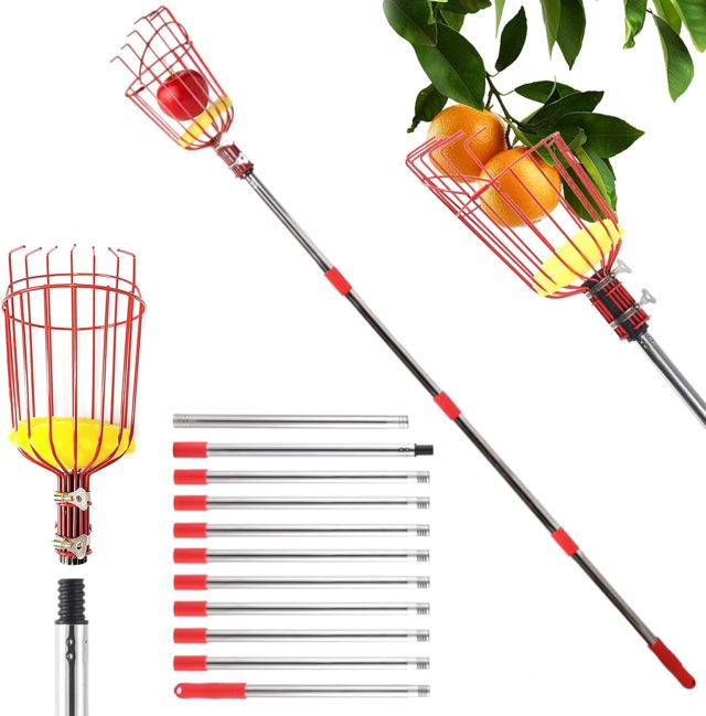 Cueille Fruit Telescopique, 4.2m Cueille Pomme Telescopique