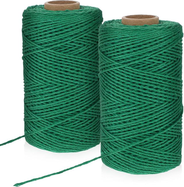 Lot de 2 rouleaux de ficelle de jardin - 100 m - Vert naturel - Fil résistant à la déchirure - Pour fleurs, travaux manuels, jardinage, cadeaux, décoration