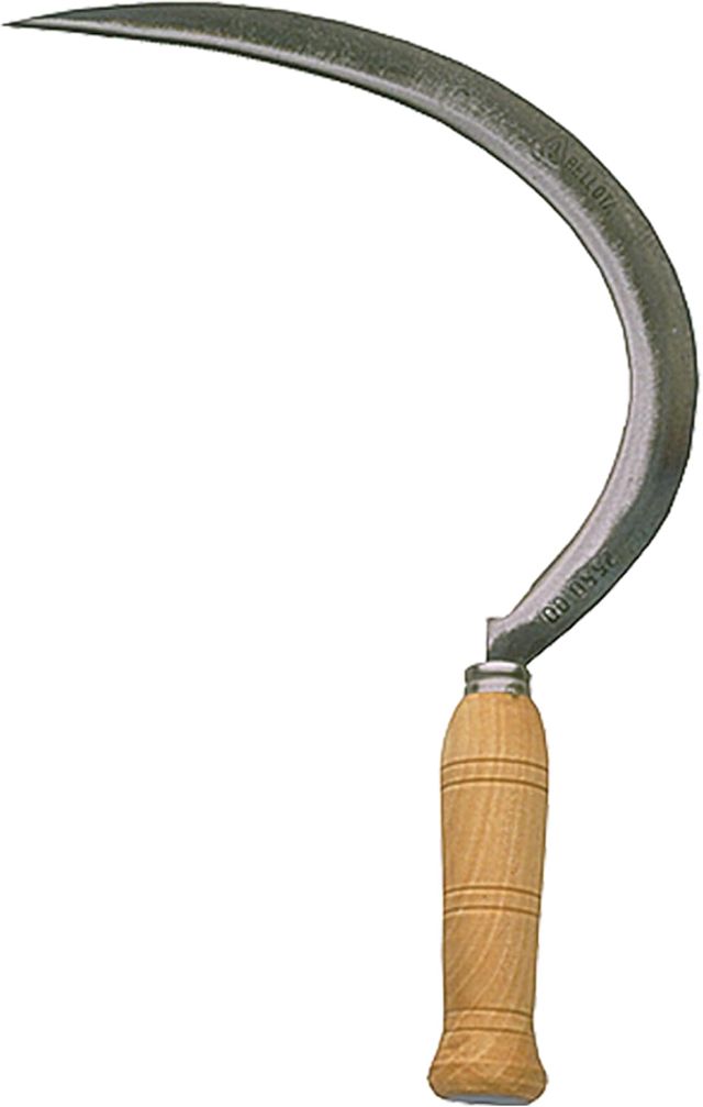 Bellota 2550-0 N - Faucille Dentelée pour Couper l'Herbe et Nettoyer les Mauvaises Herbes, avec Lame en Acier Trempé et Manche en Bois, Outil Agricole Professionnel, Argenté