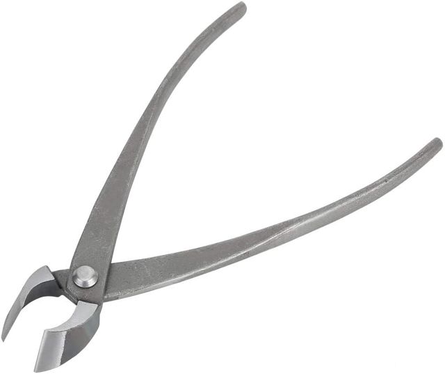 Nikou Ciseaux Bonsai 21,3cm, Outil de Coupe Pince Concave, Coupe Branches