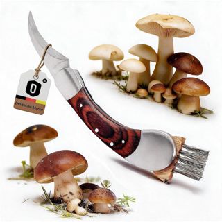 Dönges Couteau à champignons avec brosse, pliable, avec sac - Cadeau pour cueillir les champignons en plein air - Couteau éponge de qualité supérieure en acier inoxydable et bois de pakka