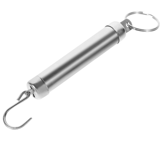 Balance Mécanique Suspendue 5kg Argenté en Acier Inoxydable