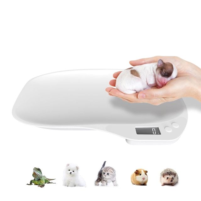 Balance pour petits animaux, balance pour animaux de compagnie pour chiens
