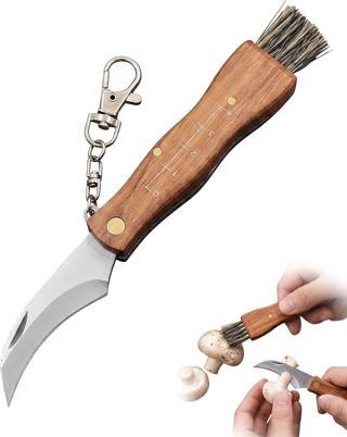 Couteau Champignon avec Brosse 1 Pièce Pliable Inoxydable Poignée en Bois avec Échelle pour Cueillette, Coupe, Brossage en Plein Air, Cadeau pour Cueilleurs de Champignons