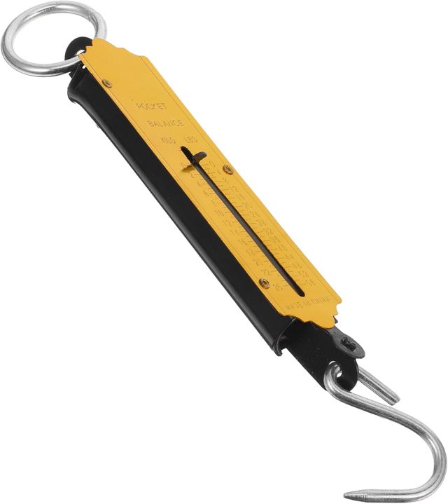 VICASKY Balance Suspendue Portable 150kg en Fer pour Poissons et Colis