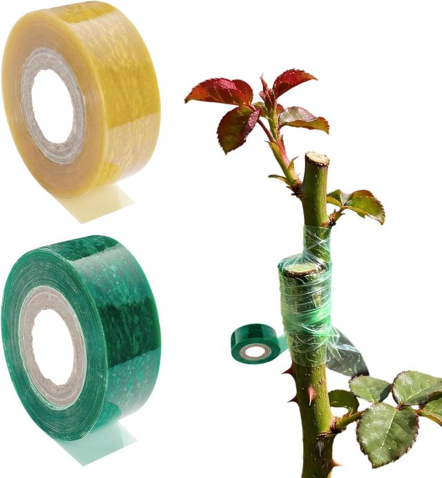 Bande Glue Arbre Fruitier, Ruban de Greffage Extensible en Plastique, Vert + Jaune, Idéal pour Amateurs de Jardinage, Horticulteurs Professionnels et Producteurs de Fruits