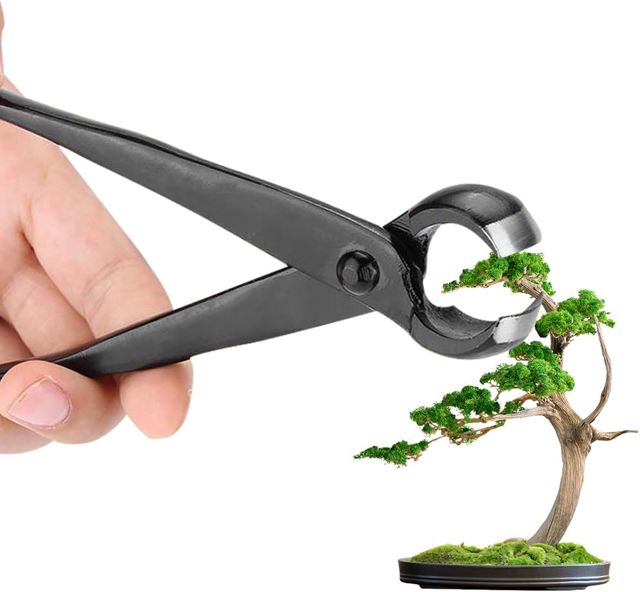 Ciseaux Bonsai Japonais 210mm en Acier avec Bord Arrondi, Noir