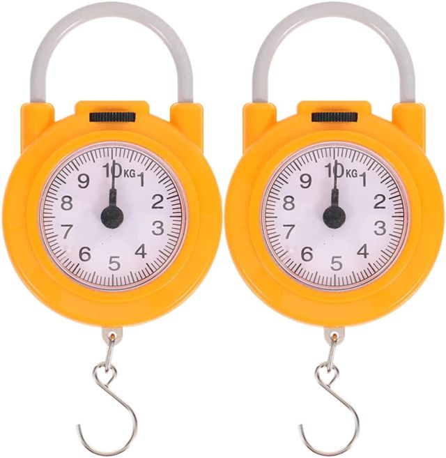 Artibetter Balance à Ressort Portative pour Pêche, Petite, Légère et