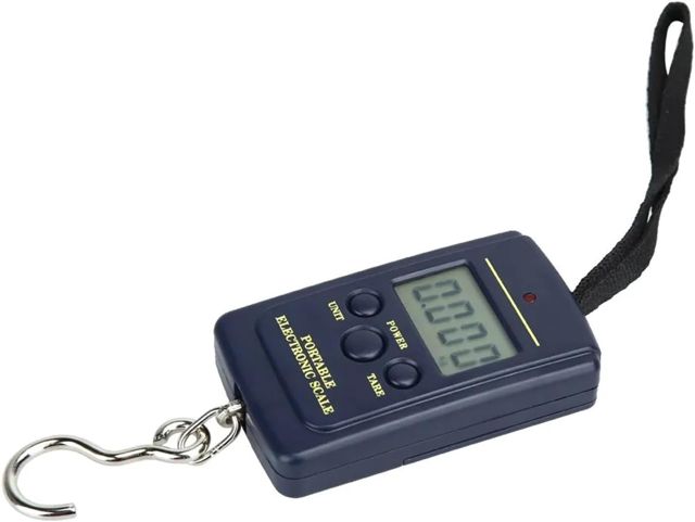 Balance Électronique Numérique 40 Kg sans Rétroéclairage, Mini-Balance De Voyage avec Crochet De Suspension, Outil De Pesage De Cuisine, Lecture Facile des Données