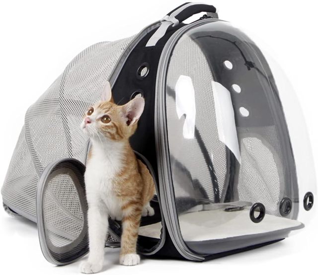 Sac à Dos pour Chat Interfashioner® avec Extensions Avant et arrière, Sac de Transport Extensible Double pour Transporter Un Gros Chat jusqu'à 9 kg chez Le vétérinaire et pour Voyager