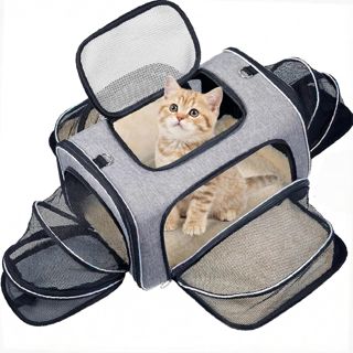 Sac de Transport pour Chat Extensible 4 Côtés, Approuvé Compagnie Aérienne - pour Chats & Petits Chiens, Voiture/Avion/Train, Pliant, Coussin Doux Amovible, 45x28x28cm, Sécurisé