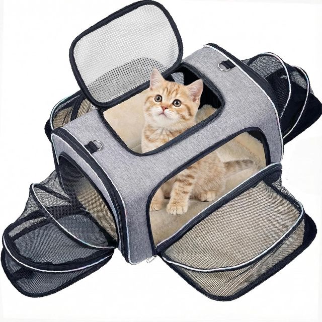 Sac de Transport pour Chat Extensible 4 Côtés, Approuvé Compagnie Aérienne - pour Chats & Petits Chiens, Voiture/Avion/Train, Pliant, Coussin Doux Amovible, 45x28x28cm, Sécurisé