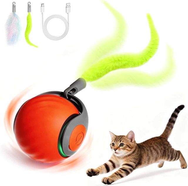 Jouet Balle Interactifs pour Chats, électrique Rechargeable Chat Intérieur avec Queue Duveteuse, Speedy Tail 2.0 Chat Ballon Roulante Automatique pour Chats Balle d'enrichissement -Bleu