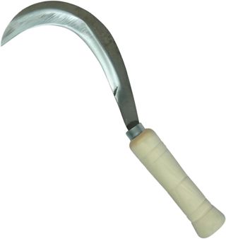 Tranchet faucille canarien avec manche en bois coloris naturel - 24 cm