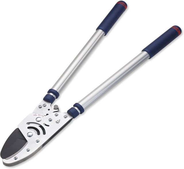 Spear & Jackson 8290RS Coupe-branches à Cliquet Télescopique à Enclume – Robuste, Poignées Télescopiques à Verrouillage par Rotation, Coupe Facile des Branches Épaisses