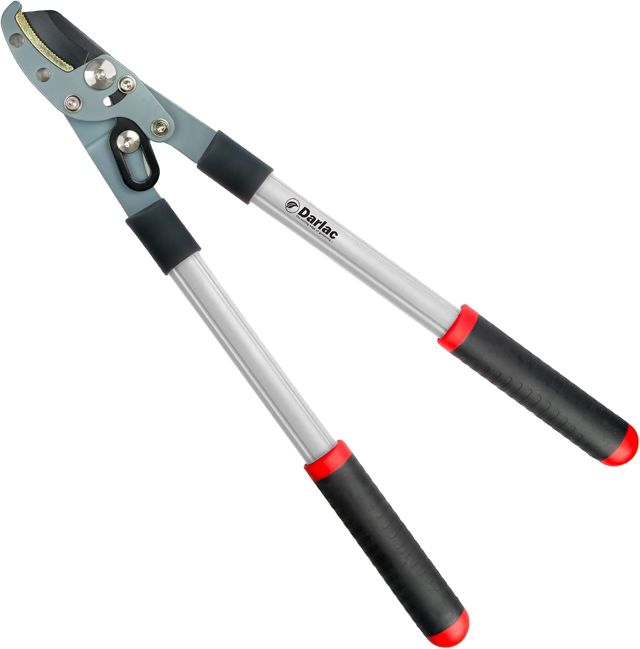 Darlac Élagueur de jardin à enclume compact, double action composée