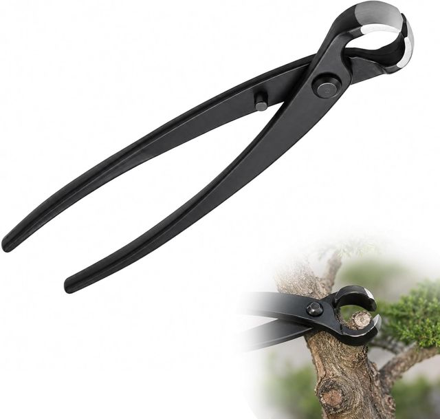 Zolara 1 Pince Concave pour Bonsaï, Coupe Branche à Manche Courbé 210 mm, Pince à Bonsaï, 21 x 7 x 7,6 cm, Outil de Taille pour Bonsaïs et Petites Branches au Jardin