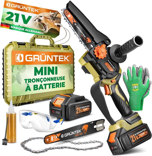 GRÜNTEK Mini Tronçonneuse à Batterie Sans Fil