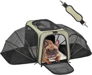 Petsfit Sac de Transport pour Chat/Chien Extensible d'un côté en Oxford 600D – Tapis Amovible, sécurisé pour Voiture et Voyage, Pliable – Petit modèle, en Vert