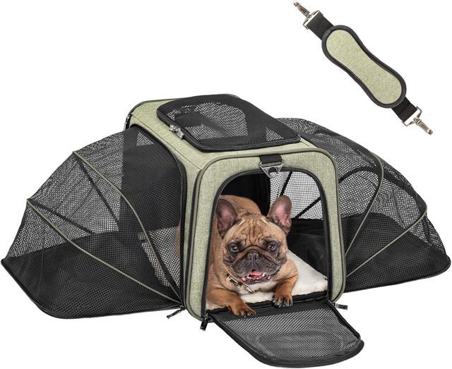 Petsfit Sac de Transport pour Chat/Chien Extensible d'un côté en Oxford 600D – Tapis Amovible, sécurisé pour Voiture et Voyage, Pliable – Petit modèle, en Vert
