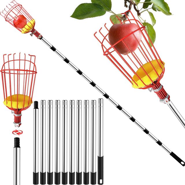 Cueille Fruit Telescopique, 4.3m Fruits Cerise Outil à Cueillir de Fruits avec Poteau Réglable Léger, Cueille Pommes avec Panier en Acier Inoxydable, Outil Cueillette Jardin Arbre Poires Pêches