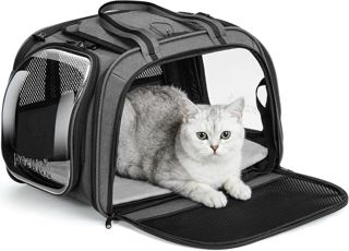 Pecute Sac Transport Chat Grande Capacité, Sac Transport Chat Vert, M