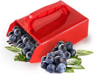 banapoy Cueilleur de Baies, Cueilleur de Myrtilles en Métal avec Peigne Métallique, Poignée Ergonomique pour Les Airelles Rouges, Les Myrtilles Et Les Framboises, Cueilleur de Jardin