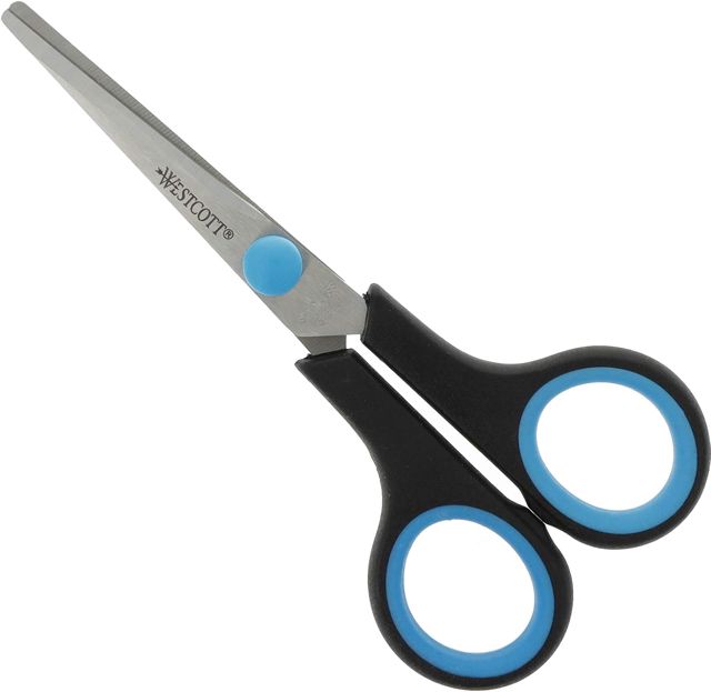 Westcott E-30293 00 Ciseaux Easy Grip inoxydables incurvés 23,5 cm Bleu/Noir
