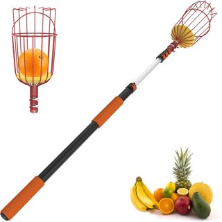 SISUPASSIE Cueille Fruit Télescopique 6m, Cueille Cerise Telescopique avec Grand Panier, Ramasse Cerise pour Pommes, Oranges, Citrons, Mangues, Avocats