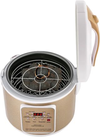 Boîte de fermentation automatique intelligente pour l'ail Noir 6 l