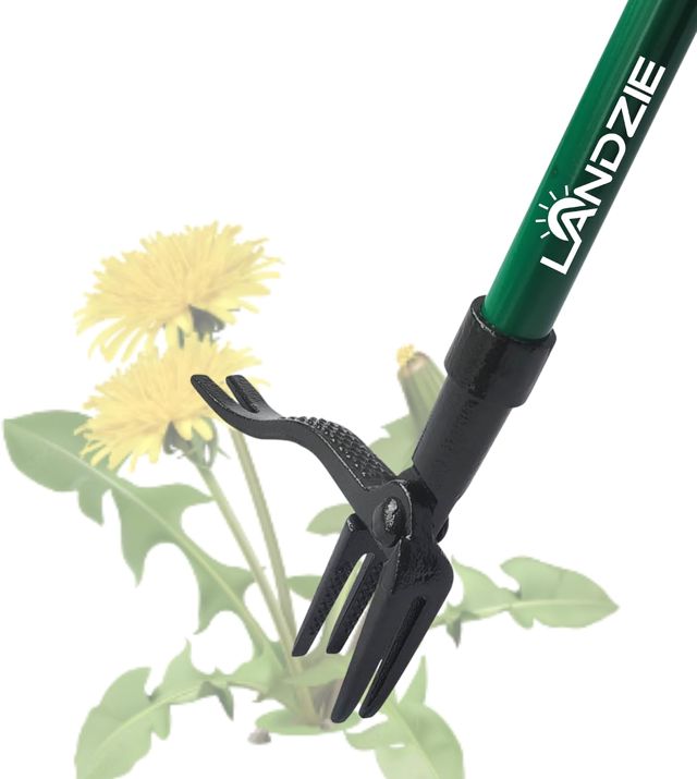 Landzie Désherbeur de mauvaises herbes avec long manche 139,7 cm