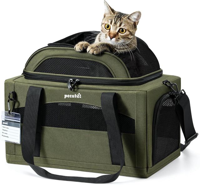Pecute Sac de Transport Chien Chat Extensible Pliable, Vert Armée