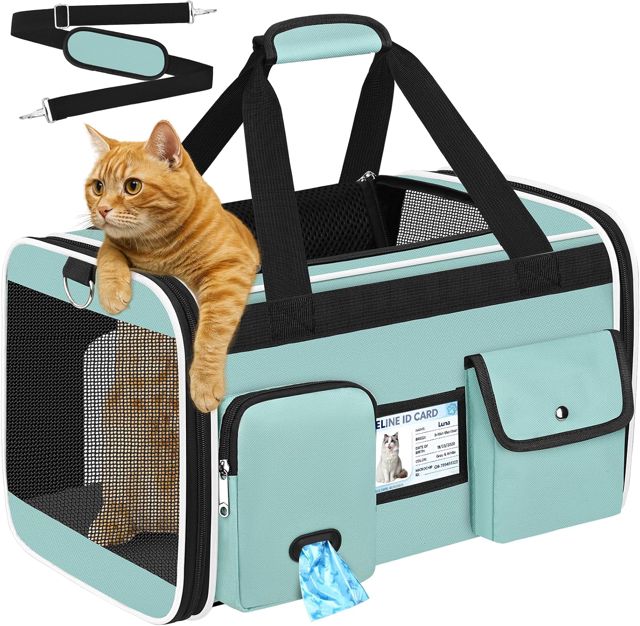 TEUEN Sac Transport Chat Chien Approuvé Aviation Caisse de Transport