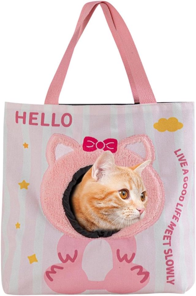 Transporteur pour Chat avec Trou pour Tête Mignon Sac à Main Portable
