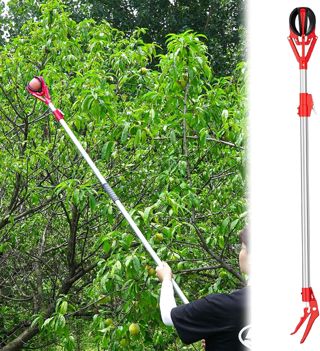 Pince télescopique à fruits 1-3m | Pince à fruits réglable en aluminium avec panier en caoutchouc souple | Outil de cueillette de fruits extensible pour la récolte d'avocat, de mangue, d'orange et