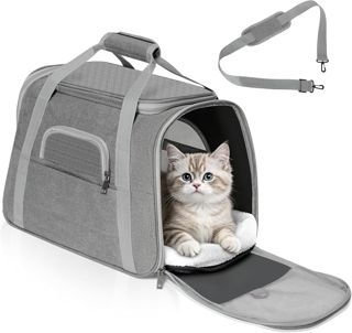 Romon Sac Transport Chat, Caisse de Transport Chien Respirant et Pliable jusqu'à 6 kg, Transporteurs avec Matelas en Peluche, Boîte de Transport avec Bandoulière Réglable, 17.3x11x9.8 inch, Noir
