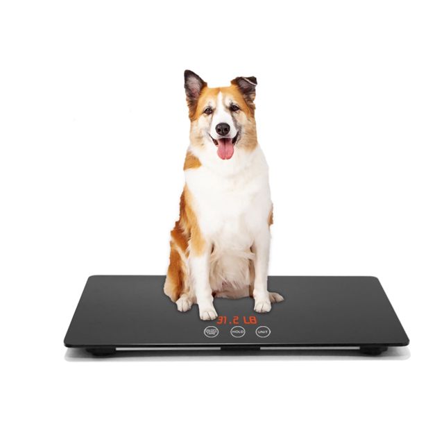 Balance numérique pour chiens, avec tapis imperméable et antidérapant, plateforme de pesée pour animaux, dimensions 65 x 45 cm, poids maximum 220 lb, précision 10 g, noire.