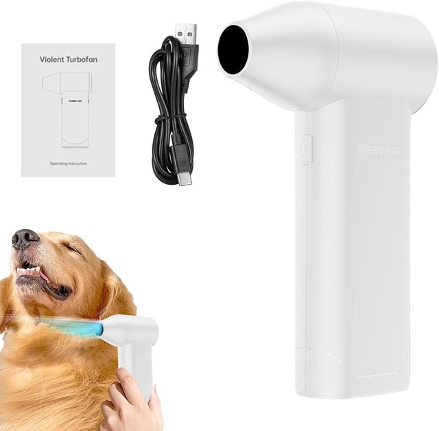 Dépoussiéreur Sans Fil Souffleur de Golf à Main Sans Fil et Rechargeable