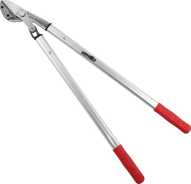 AUSONIA Ébrancheur Coupe-Branches Professionnel 80 cm