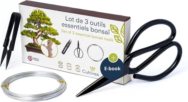 CULTIVEA® Lot de 3 Outils Essentiels Bonsaï, Ciseaux et Fil Aluminium