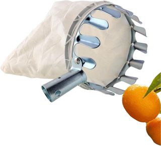 Cueille Fruit, Cueille-Fruits avec Sac, Cueilleurs de Fruits
