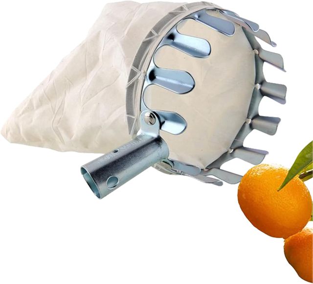 Cueille Fruit, Cueille-Fruits avec Sac, Cueilleurs de Fruits