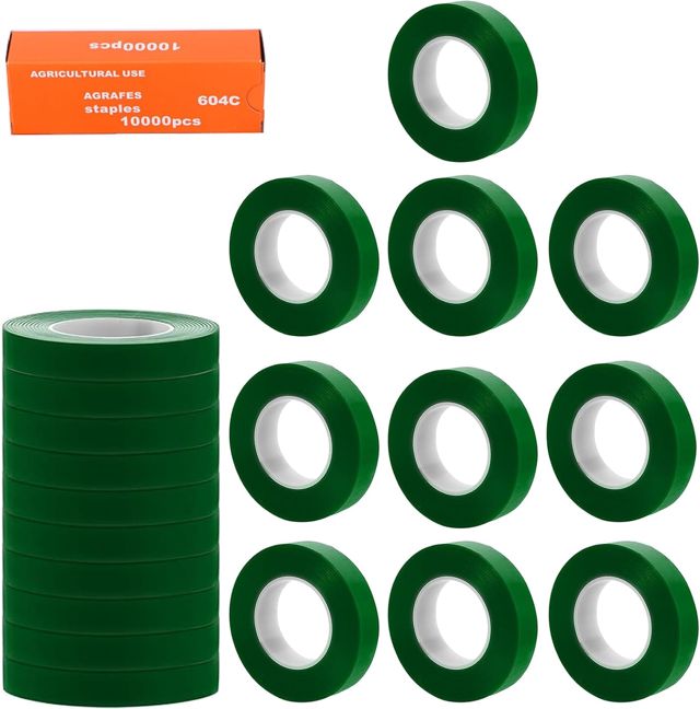 Ruban adhésif pour fixation de plantes, outil avec 20 rouleaux de ruban adhésif, 1 boîte d'agrafes, bandes pour fixation des plantes, emballage de jardin, pour élaguer les légumes et la machine