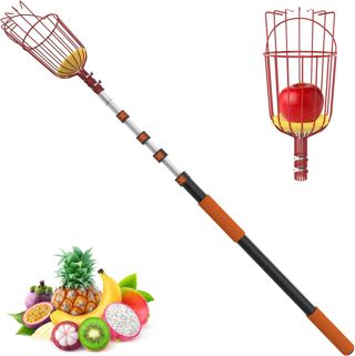 LAANPOLE 6m Cueille Fruit Telescopique, Ramasse Cerise Telescopique avec Grand Panier de Cueillette pour la Cueillette des Pommes, Oranges, Citrons, Mangues, Avocats, Goyaves
