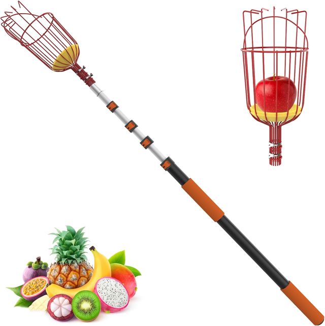 LAANPOLE 6m Cueille Fruit Telescopique, Ramasse Cerise Telescopique avec Grand Panier de Cueillette pour la Cueillette des Pommes, Oranges, Citrons, Mangues, Avocats, Goyaves