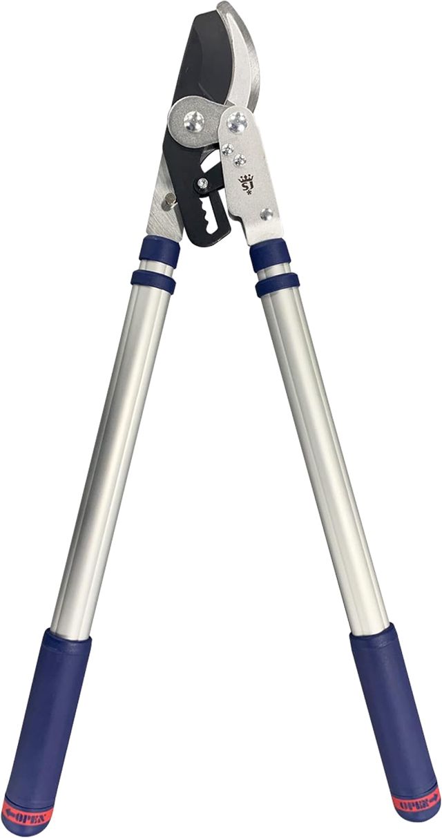 Spear & Jackson 8100RS Razorsharp Ébrancheur Télescopique à Enclume et à Cliquet – Poignées Extensibles pour Élagage de Jardin, Taille d’Arbres et Entretien des Haies