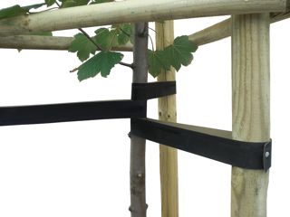 Joma-Tech Sangles d'arbre