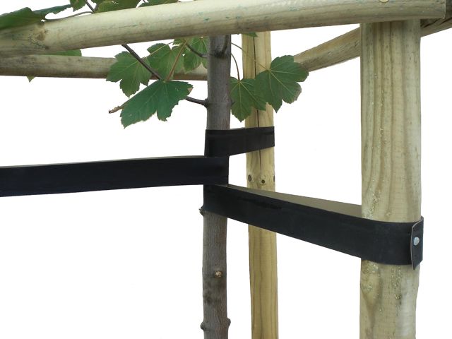Joma-Tech Sangles d'arbre
