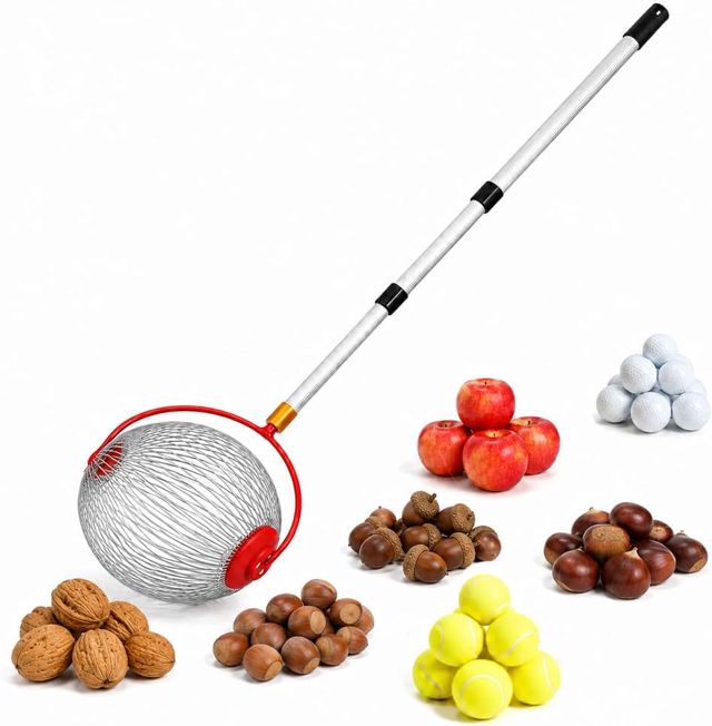 Rouleau Ramasse Noix, Ramasse Pomme au Sol avec Manche Télescopique en Aluminium, Récupérateur EE Noix Cueilleur de Glands pour Pommes, Poires, N-oix, Balles de Tennis et Balles de Golf