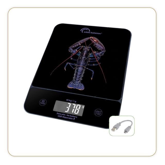 LITTLE BALANCE 8709 Happy Genius 10 Les Tortues, Balance de cuisine sans pile, rechargeable USB-C, Réparable, 10 kg, Les Tortues